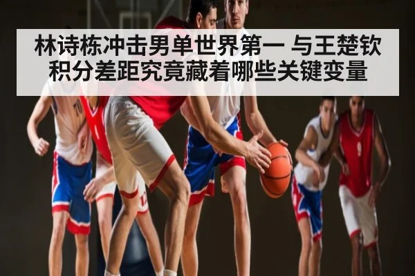 林诗栋冲击男单世界第一 与王楚钦积分差距究竟藏着哪些关键变量
